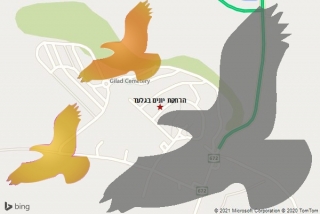 מרחיק יונים בגלעד - הרחקת יונים בגלעד