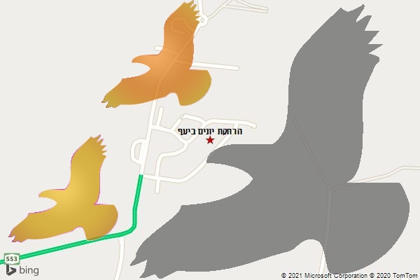 הרחקת יונים ביעף