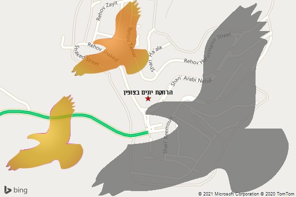 הרחקת יונים בצופין