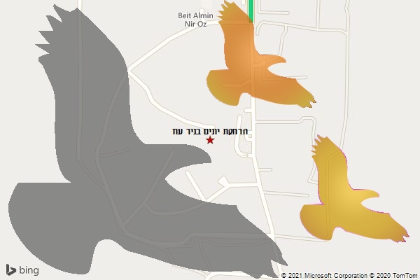 הרחקת יונים בניר עוז