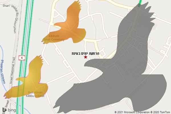 הרחקת יונים בעינת