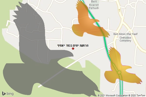 הרחקת יונים בכפר יאסיף
