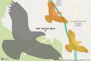 מרחיק יונים בכפר יאסיף - הרחקת יונים בכפר יאסיף