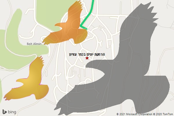 הרחקת יונים בכפר עציון