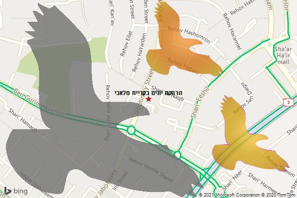הרחקת יונים בקריית מלאכי
