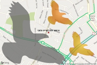 מרחיק יונים בקריית מלאכי - הרחקת יונים בקריית מלאכי