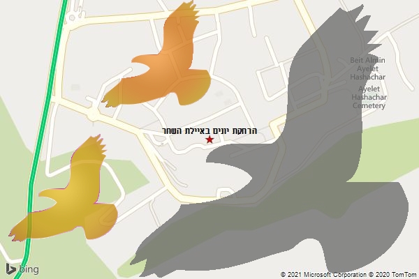 הרחקת יונים באיילת השחר