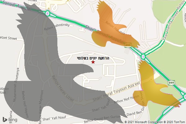 הרחקת יונים בשלומי
