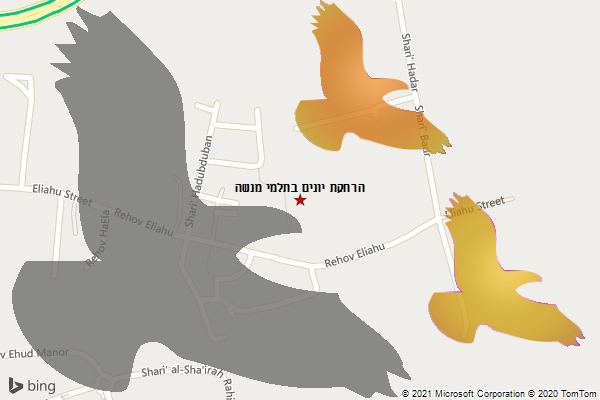 הרחקת יונים בתלמי מנשה