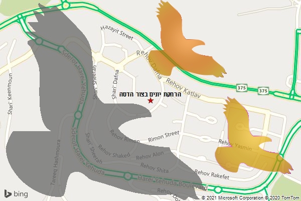 הרחקת יונים בצור הדסה