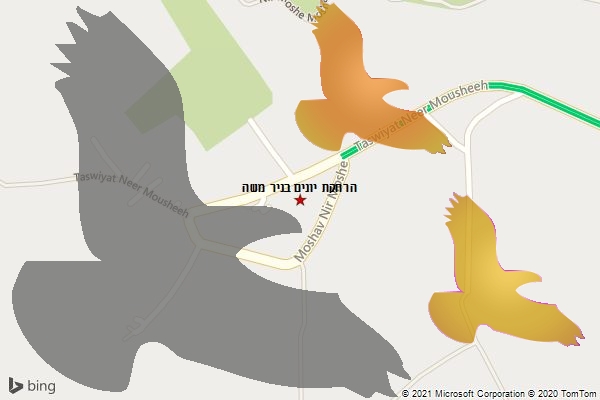 הרחקת יונים בניר משה