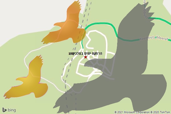 הרחקת יונים במלכישוע