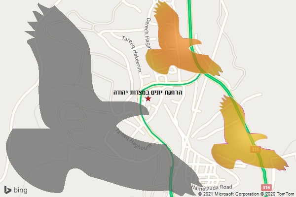 הרחקת יונים במצדות יהודה