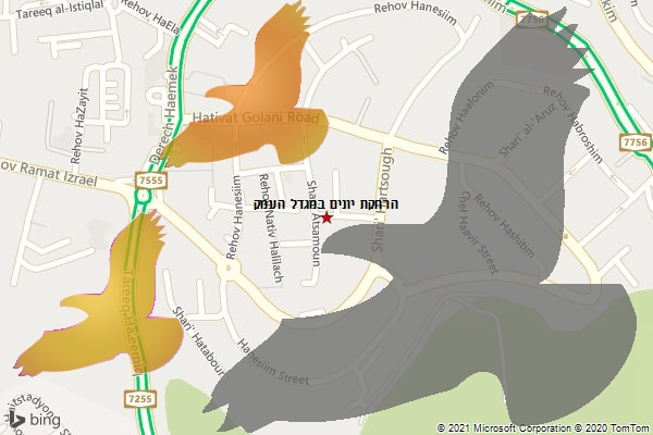 הרחקת יונים במגדל העמק