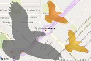 מרחיק יונים בבנו עקבה - הרחקת יונים בבנו עקבה