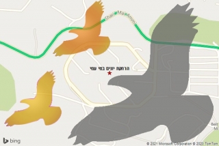 מרחיק יונים במי עמי - הרחקת יונים במי עמי