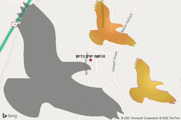 הרחקת יונים בלימן