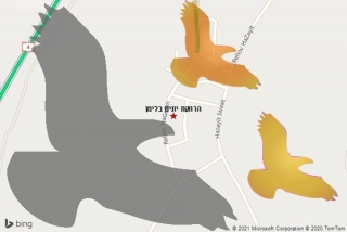 מרחיק יונים בלימן - הרחקת יונים בלימן