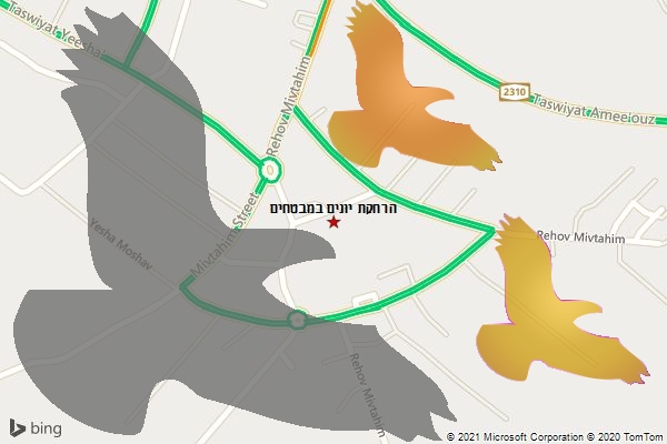 הרחקת יונים במבטחים
