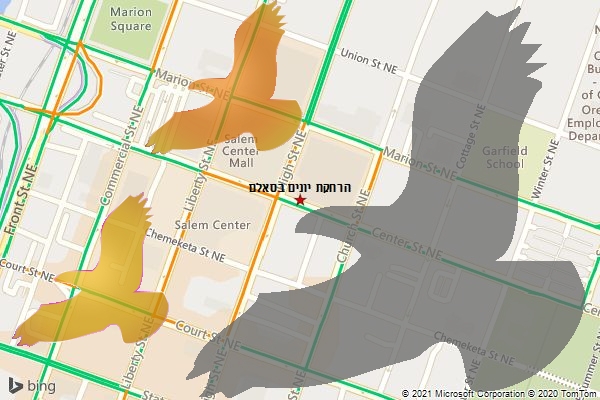 הרחקת יונים בסאלם