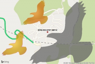 מרחיק יונים בנווה שלום - הרחקת יונים בנווה שלום