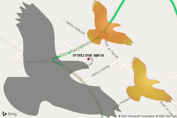 הרחקת יונים בצפריה