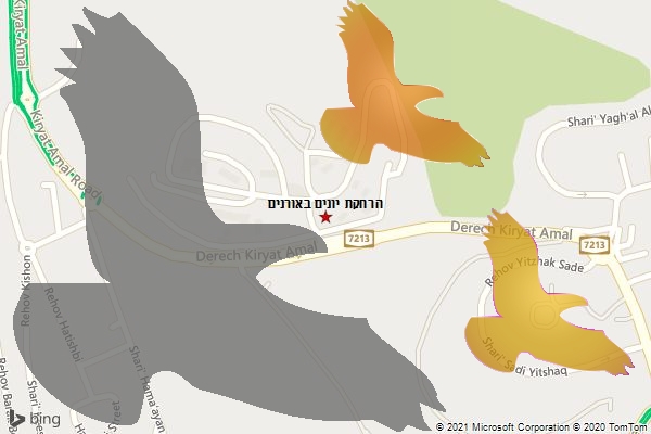 הרחקת יונים באורנים