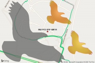 מרחיק יונים בבית קמה - הרחקת יונים בבית קמה