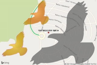 מרחיק יונים בגבעת אבני - הרחקת יונים בגבעת אבני