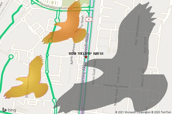 הרחקת יונים בצור שלום