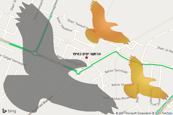 הרחקת יונים במיצד