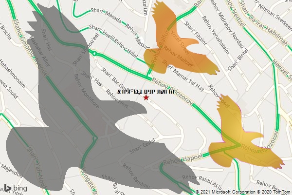 הרחקת יונים בבר גיורא