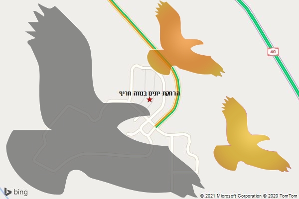 הרחקת יונים בנווה חריף