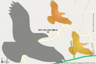 מרחיק יונים בכפר פינס - הרחקת יונים בכפר פינס