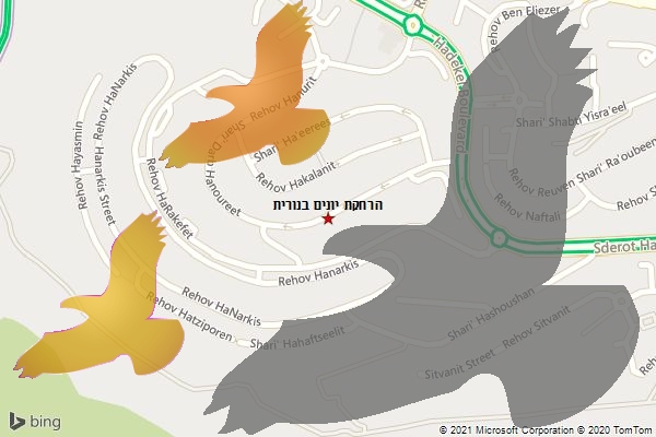 הרחקת יונים בנורית