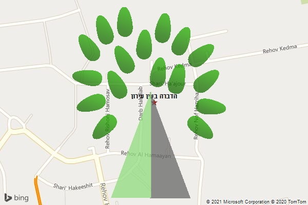 הדברה בעין עירון