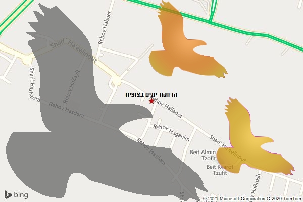 הרחקת יונים בצופית