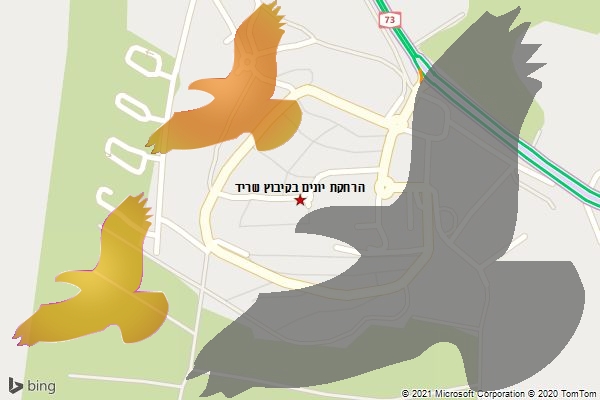 הרחקת יונים בקיבוץ שריד