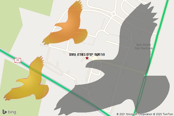 הרחקת יונים בשדה נחום
