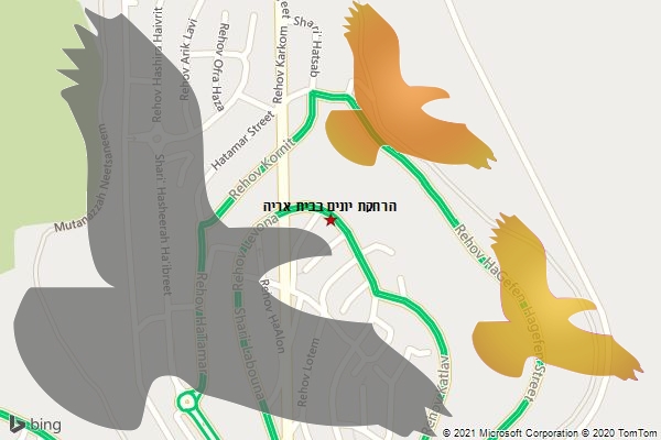 הרחקת יונים בבית אריה