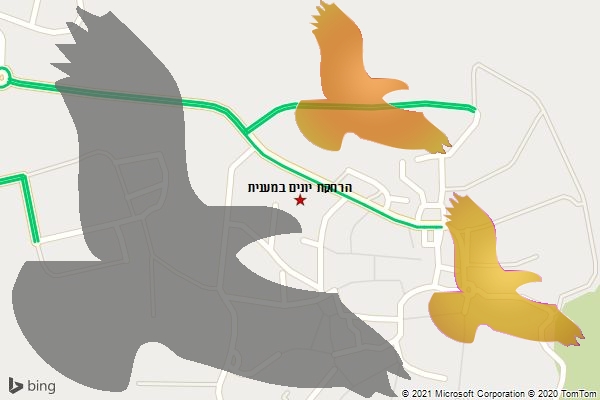 הרחקת יונים במענית