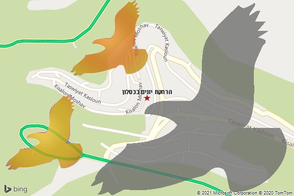 הרחקת יונים בכסלון