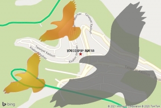 מרחיק יונים בכסלון - הרחקת יונים בכסלון