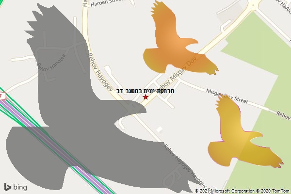 הרחקת יונים במשגב דב