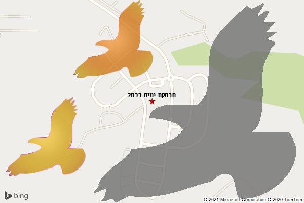 הרחקת יונים בכחל