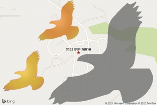 מרחיק יונים בכחל - הרחקת יונים בכחל