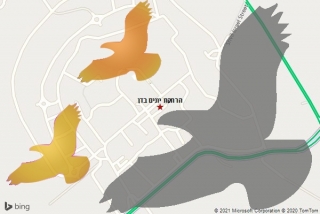 מרחיק יונים בדן - הרחקת יונים בדן