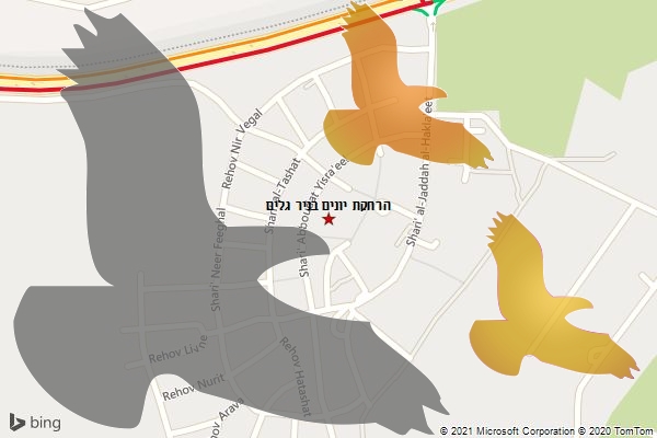 הרחקת יונים בניר גלים