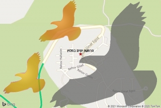 מרחיק יונים בחלוץ - הרחקת יונים בחלוץ