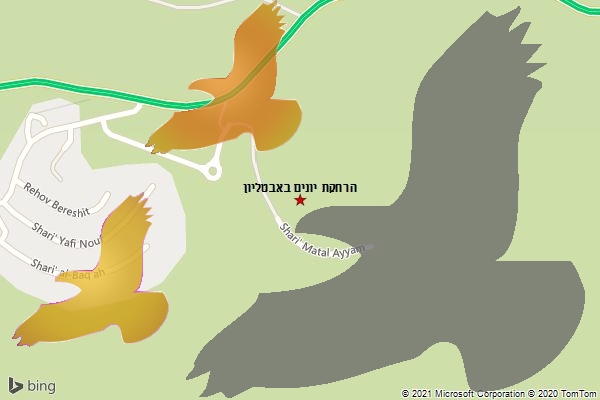 הרחקת יונים באבטליון
